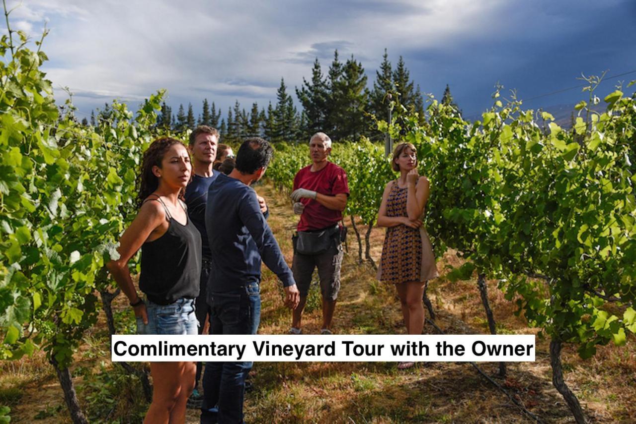 Bed and Breakfast Grey Ridge Vineyard Experience Alexandra Exterior foto
